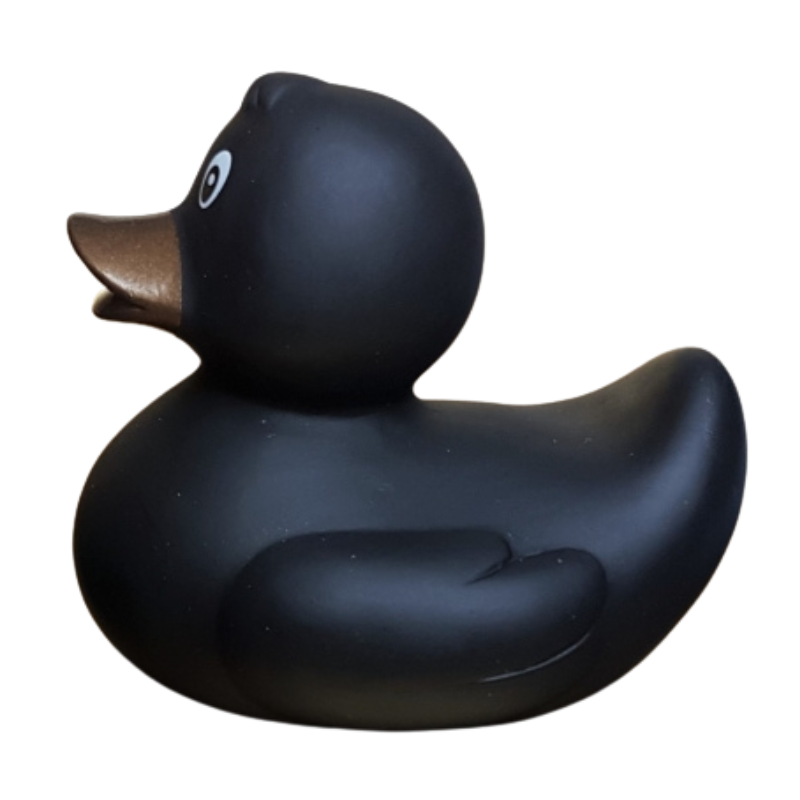 Badeend - Black Beauty