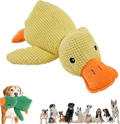 Hondenknuffel -  Omdat jij altijd zo hondstrouw bent!
