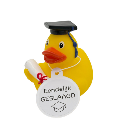 Badeend - Geslaagd
