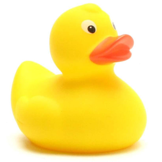Test eendje