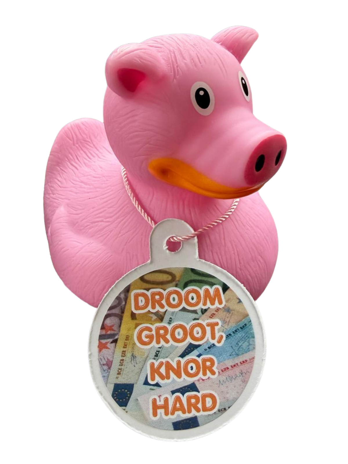 Roze varkensbadeend met een hangtag met eurobiljetten en de tekst ‘Droom groot, knor hard’.