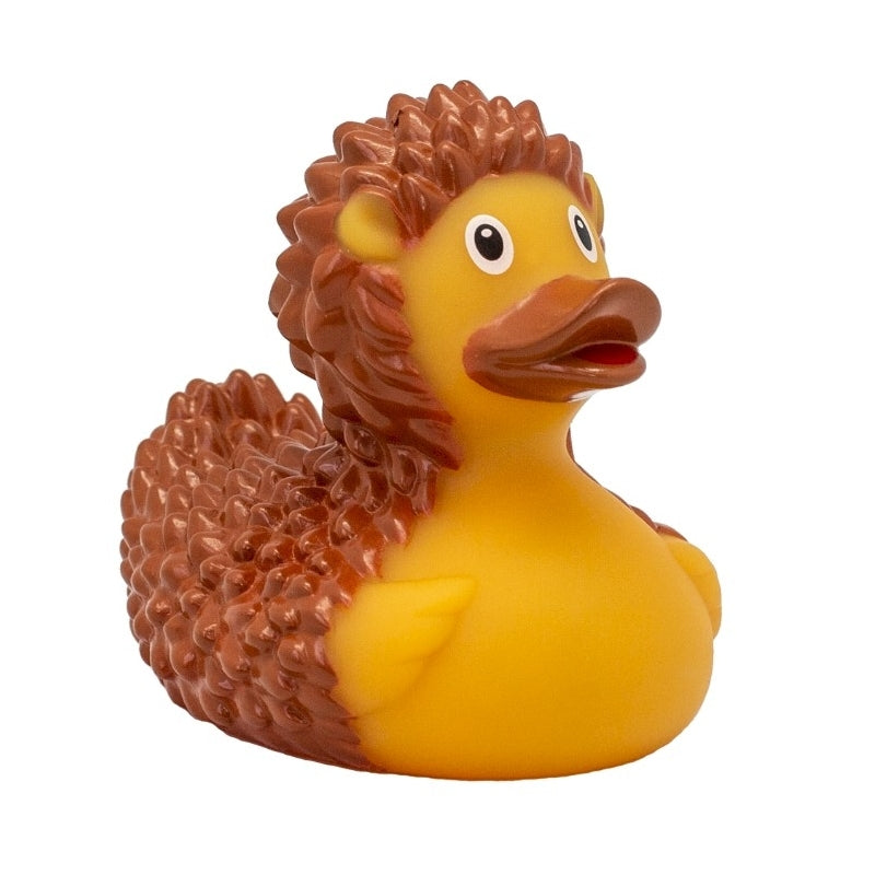 Badeend - Egel prikkelbaar
