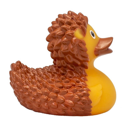 Badeend - Egel prikkelbaar