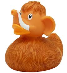 Badeend - Zo oud?