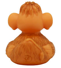 Badeend - Zo oud?
