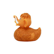 Badeend - Zo oud?